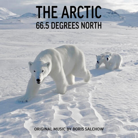 The Arctic - 66.5 Degrees North