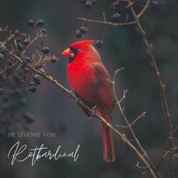 Die Legende vom Rotkardinal