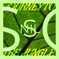 Journey to the Jungle
