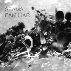 Seams Familiar