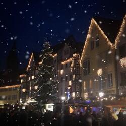 It's Christmas Time