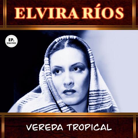 Vereda tropical