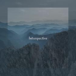 Introspective