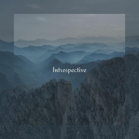 Introspective