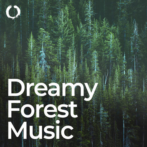 Dreamy Forest Music