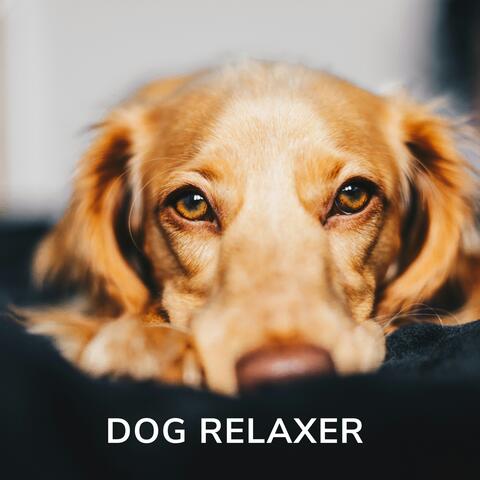 Dog Relaxer