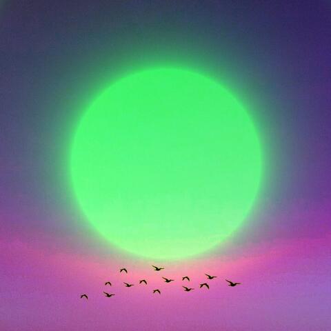 Summer Sun