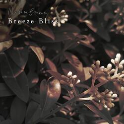 Breeze Bliss