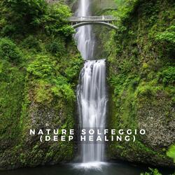 Nature Solfeggio Ocean Waves Healing