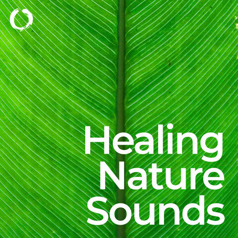 Healing Nature Sounds: Meditation and Mindfulness