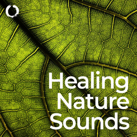 Healing Nature Sounds: Stress Relief and Well-being
