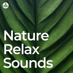 Serene Nature Ambience