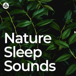 Refreshing Nature Sleep Sounds