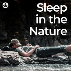 Calm Lake Sleep Sounds