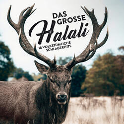 Ganz liebe Grüße - Jagdsignal: Halali