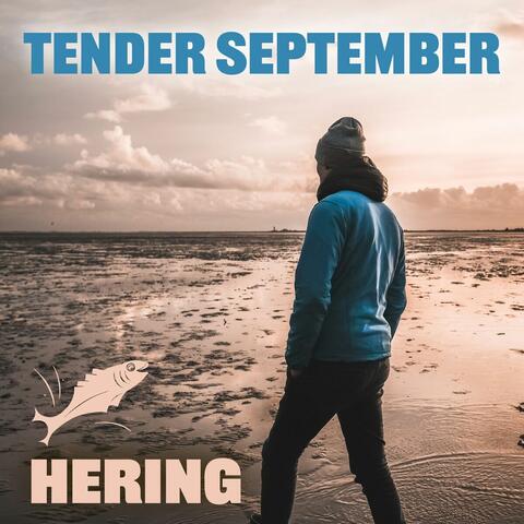 Tender September