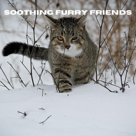 Soothing Furry Friends