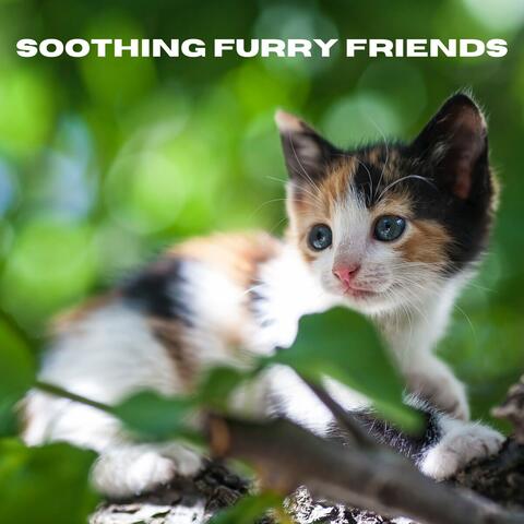 Soothing Furry Friends