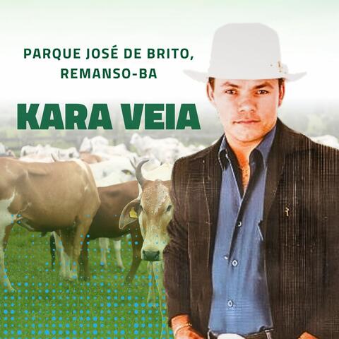 Parque José de Brito, Remanso - BA