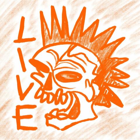 Live fast die punk