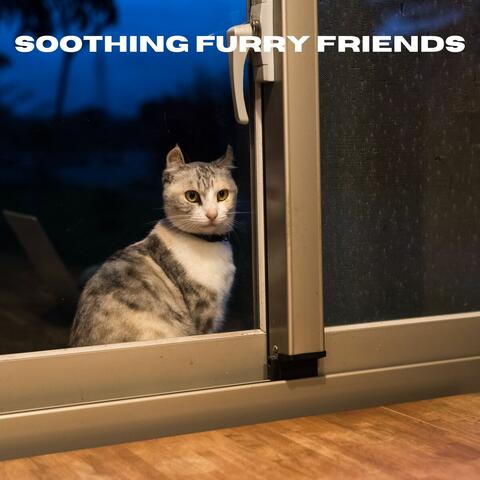 Soothing Furry Friends
