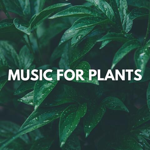 Music for Plants