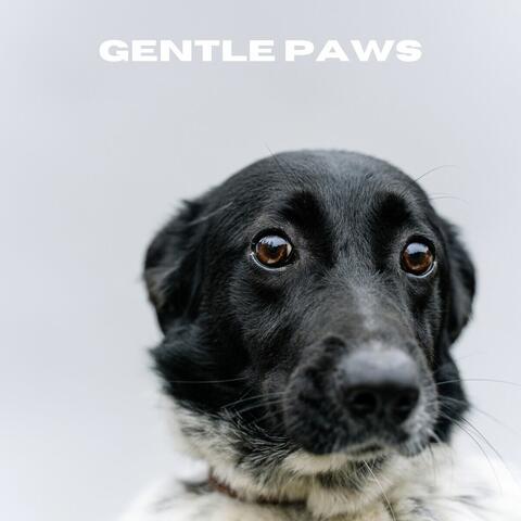 Gentle Paws
