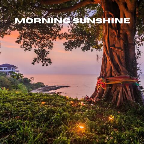 Morning Sunshine