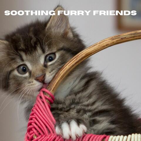 Soothing Furry Friends