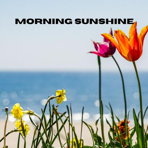 Morning Sunshine
