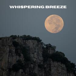 Velvet Waves of Sound