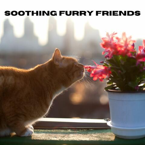 Soothing Furry Friends