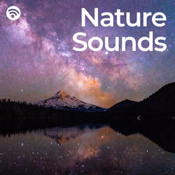 Fall Asleep with Nature Sounds