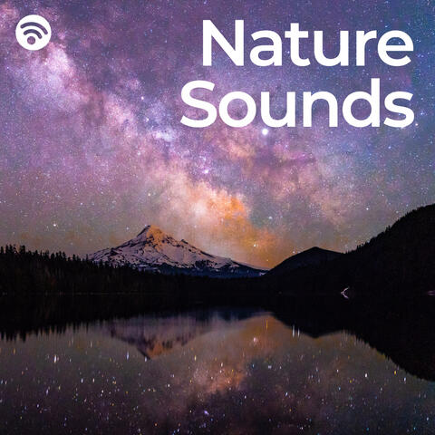 Good Night: Nature Sounds Silent