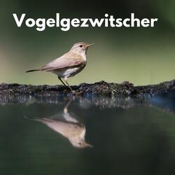 Frühlingserwachen