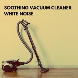 Soothing Vacuum Cleaner Pt. 5