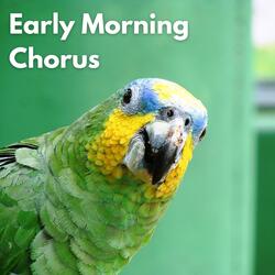 Morning Bird Symphony