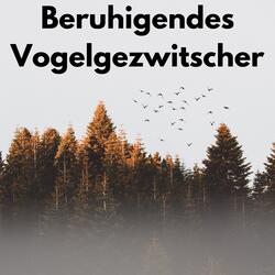 Harmonie des Vogelgezwitschers