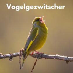 Frühlingserwachen