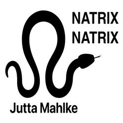 Natrix Natrix