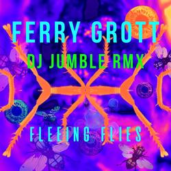 Fleeing Flies DJ Jumble Remix