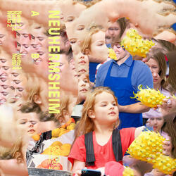 Netto 2