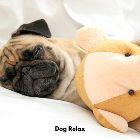 Dog Relax