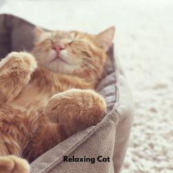 Soft Fur Relaxation Tones