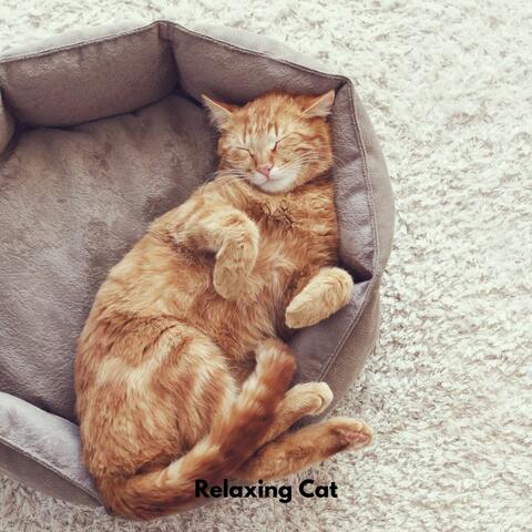 Music for Cats Peace