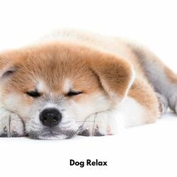Bark Lullaby Bliss