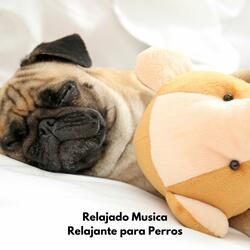 Relajado Musica para Perros