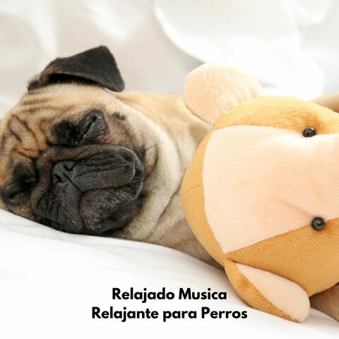 Relajado Musica para Perros