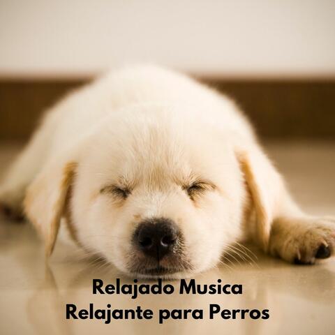 Relaxamente para Perros