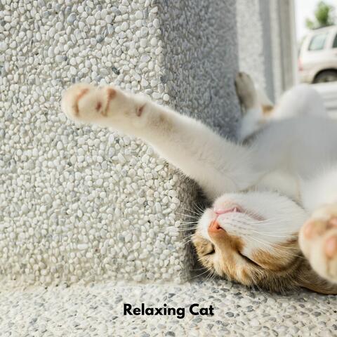 Relaxing Cat